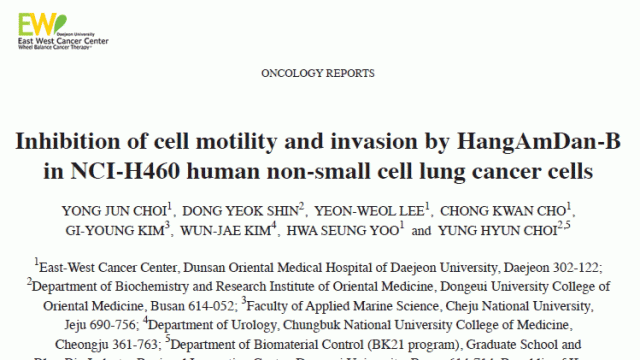 NCI-H460 인간 비소세포성폐암세포에 대한 항암단-B의 세포활성과 침윤 억제
