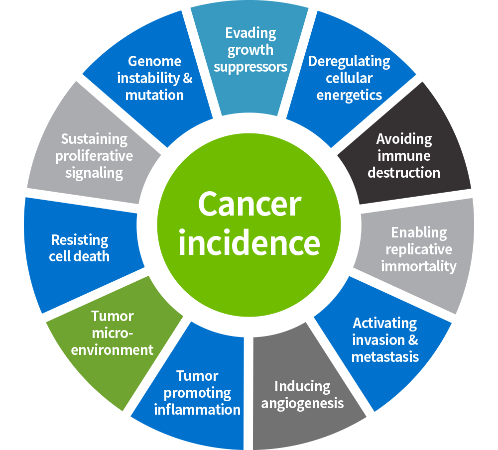 한국형 통합암치료의 다양한 암 발생 기전에 대한 다약제, 다표적 접근