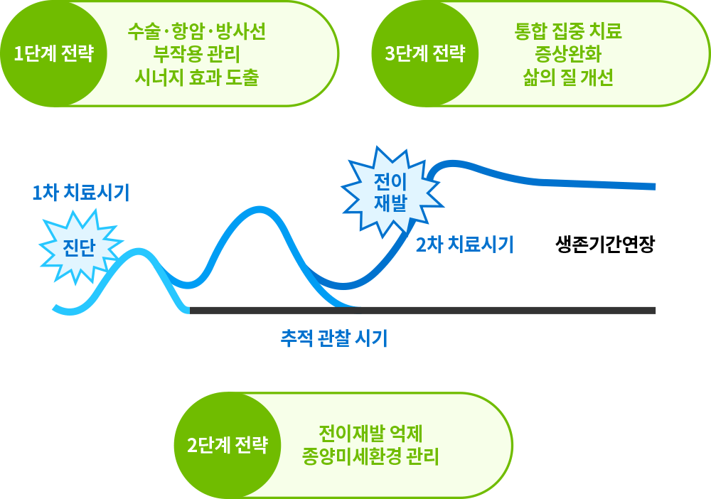 한국형 통합암치료의 단계별 치료